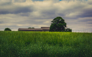 On the Farm View on Flickr | View on 500px