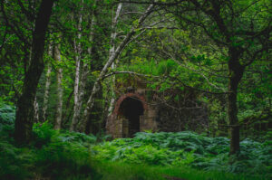 Woods' Entrance