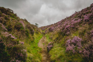 Up from Burbage Brook Padley Gorge