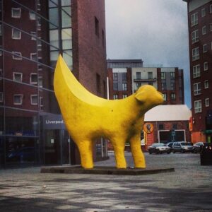 Banana Sheep?
