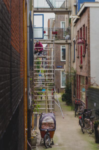 Scaffold