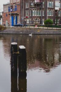 Swan's Keep