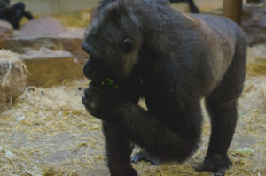 Snack Time