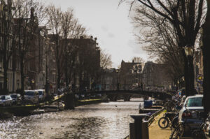 Into the distance
