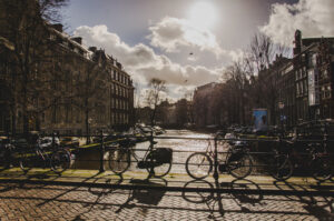 Sunlight!