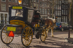 Horse & Cart