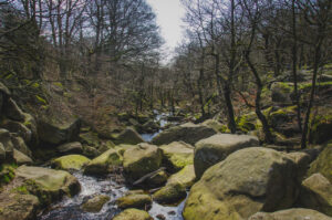 Padley Gorge