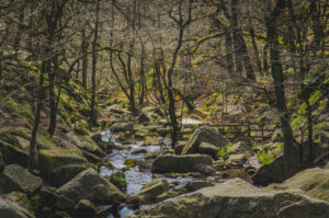 Padley Gorge