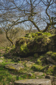 Millstones
