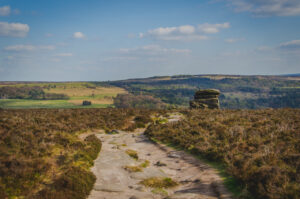 Meander