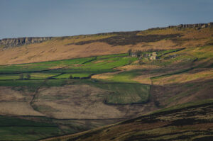 House on the Hillside