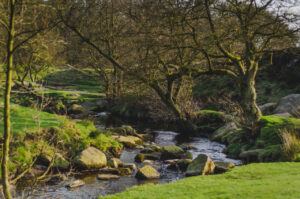Padley Gorge