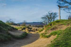 Follow the trail