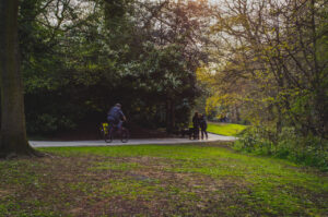 Pathways Endcliffe Park, Sheffield