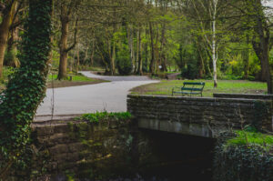 Bingham Park, Sheffield