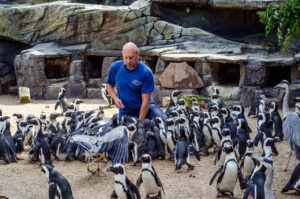 Penguin Feeder
