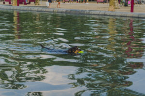 Fetch!