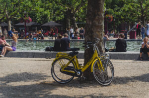 More bikes.
