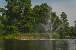 Vondelpark Water