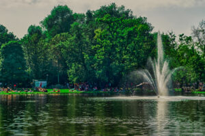 Vondelpark Dreams