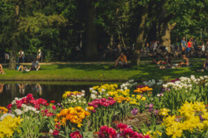 From Tulip Island