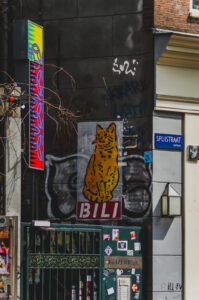 BILI the Cat