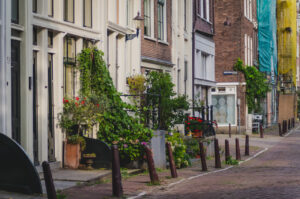 Street Colours