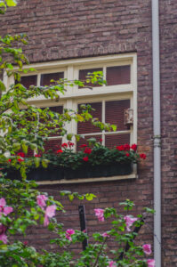 Windowsill