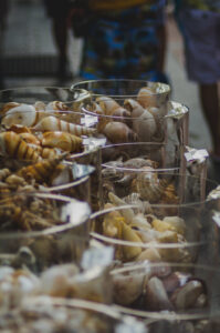 Shells