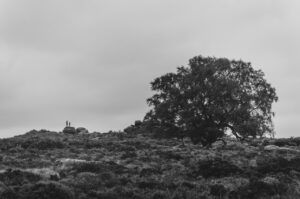 #thepeakdistrict