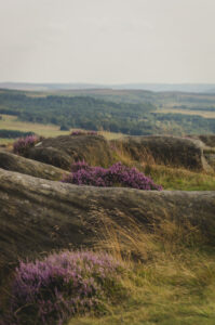 Horizons
