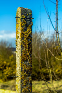Fence post