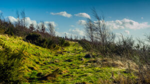 Grass pathway
