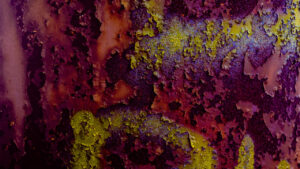 Lovely rust