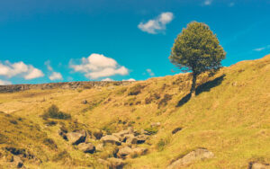 Burbage Valley, The Peak District, UK Burbage Valley is 8km north-west of Sheffield, in the United Kingdom. It is drain…