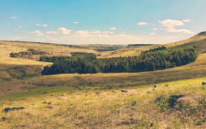Burbage Valley, The Peak District, UK Burbage Valley is 8km north-west of Sheffield, in the United Kingdom. It is drain…