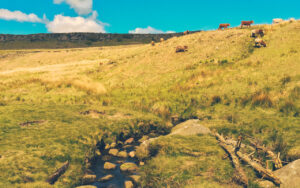 Burbage Valley, The Peak District, UK Burbage Valley is 8km north-west of Sheffield, in the United Kingdom. It is drain…