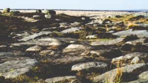 Surface Higger Tor