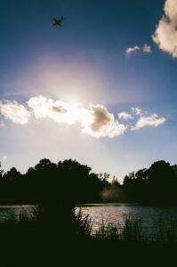 Vondelpark