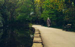 Endcliffe Pathways Endcliffe Park, Sheffield