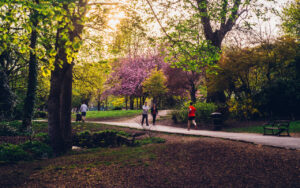 Endcliffe Pathways Endcliffe Park, Sheffield