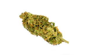 Grapefruit (Cannabis Sativa) This potent sativa was developed by crossing Cinderella 99 with a fast-flowering sativa se…