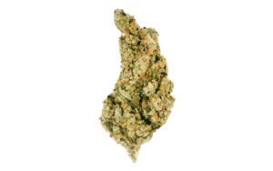 Grape God (Indica-dominant Cannabis hybrid) Grape God is an indica-dominant hybrid that combines God Bud and Grapefruit…