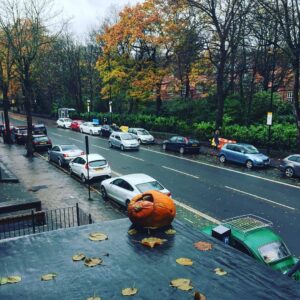 Pumpkin's still going strong. 😂 #Sheffield #ecclesallroad