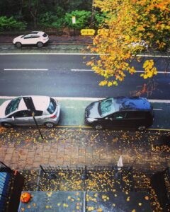 Leaves. #sheffield #ecclesallroad