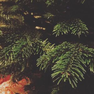 We now have a #Christmas #tree! #catchingup #ecclesallroad