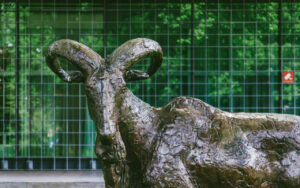 Ram