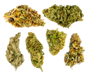 Get these nugs as stickers, as well as on tees, bags etc. http://rdbl.co/2kY9cor Have a look at each shot in more detai…