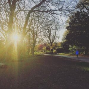 #endcliffepark, #sheffield. #syorksphoto #sunset #yorkshire #syorksphoto (at Endcliffe park)