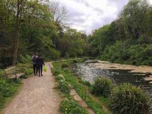 #sheffield parks have some incredible walks. 👌#syorksphoto #sheffieldissuper #yorkshire